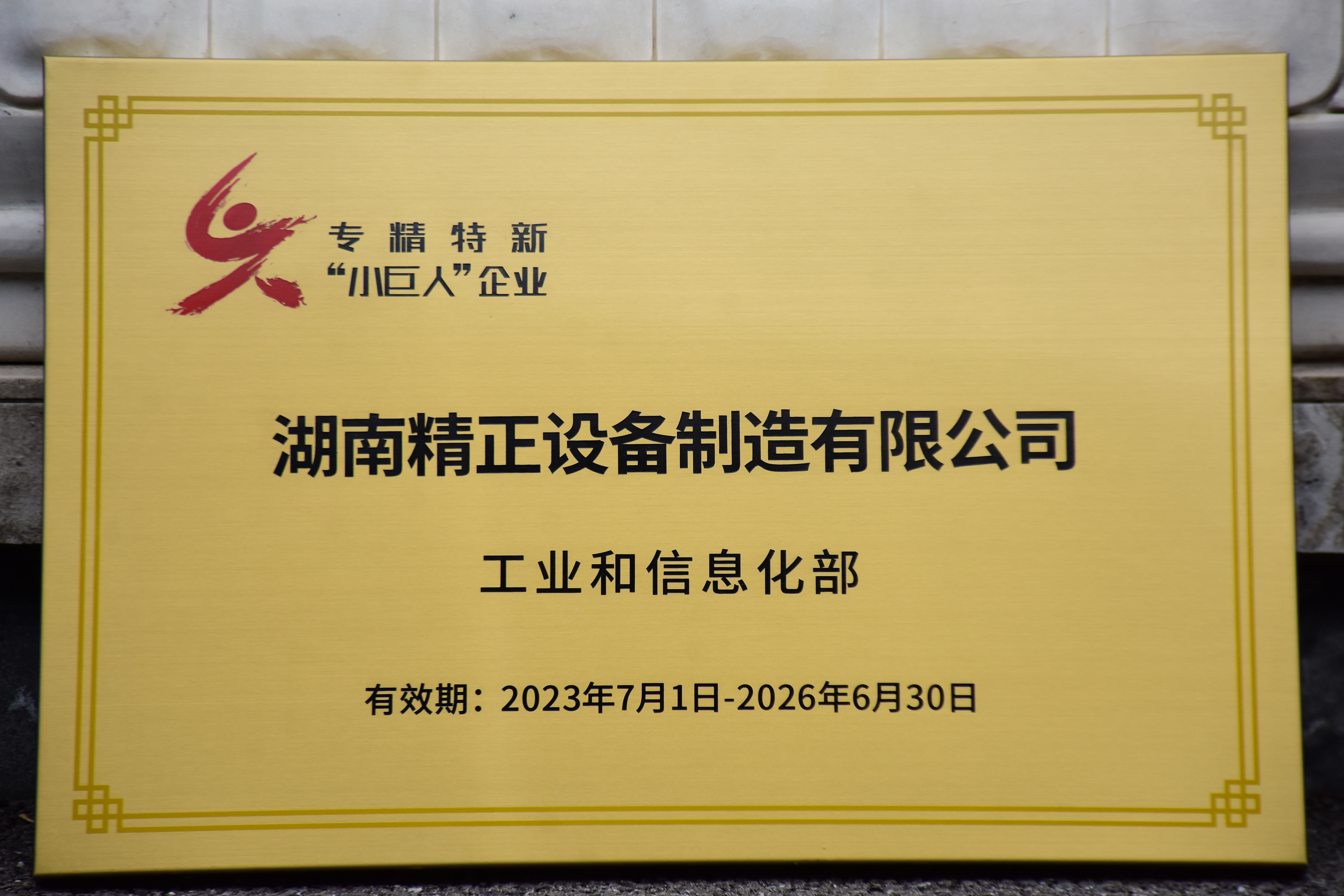 乐动官方端网站获得“专精特新”小巨人企业