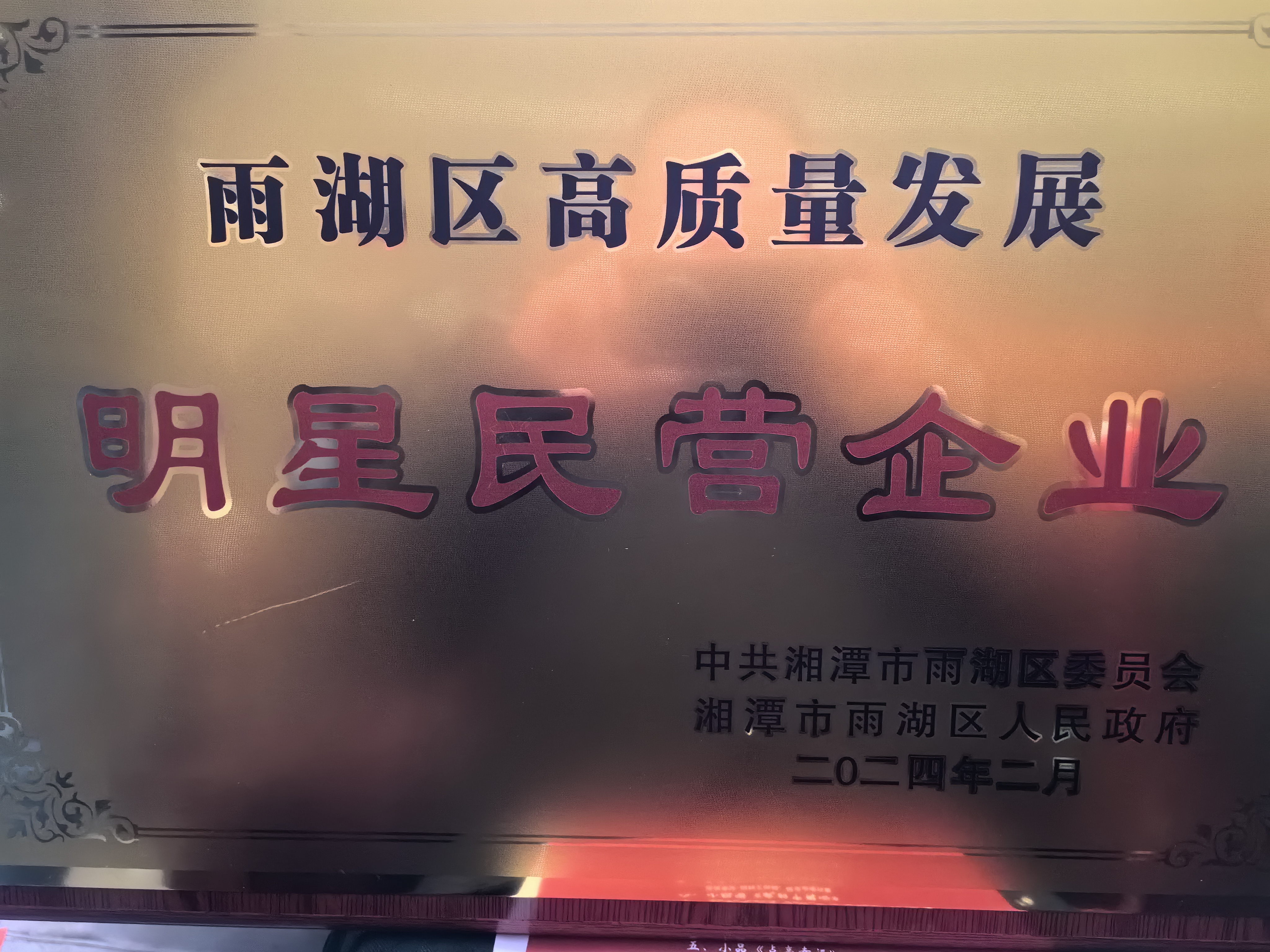 乐动官方端网站荣获“雨湖区高质量发展明星民营企业”称号